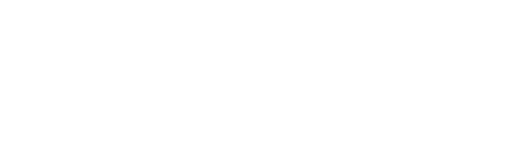 Metroswif Logistics